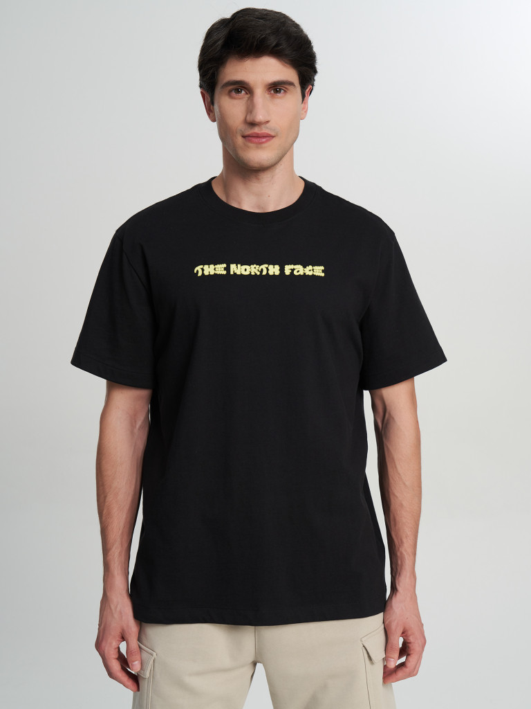Футболка мужская The North Face Logo Twist