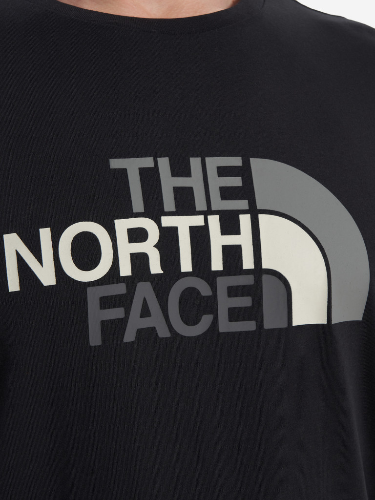 Футболка мужская The North Face Easy