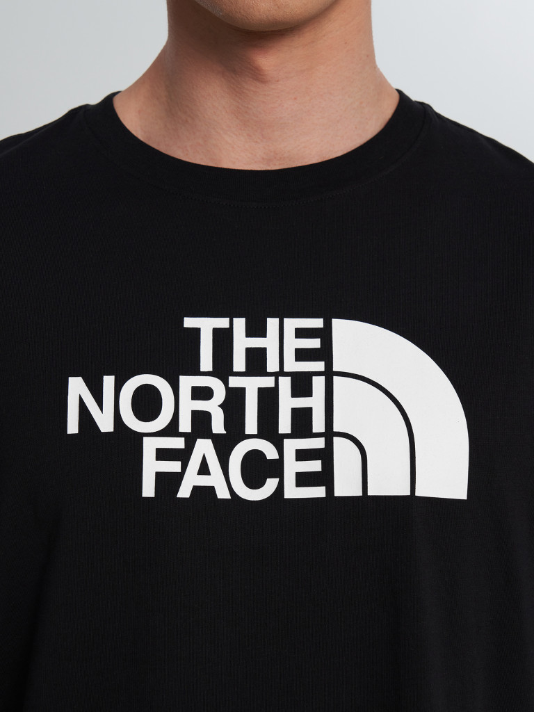 Футболка мужская The North Face Evolution