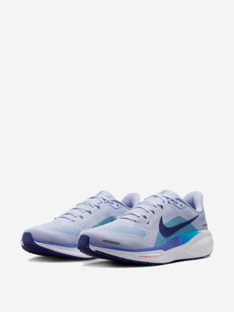 Кроссовки мужские Nike Pegasus 41