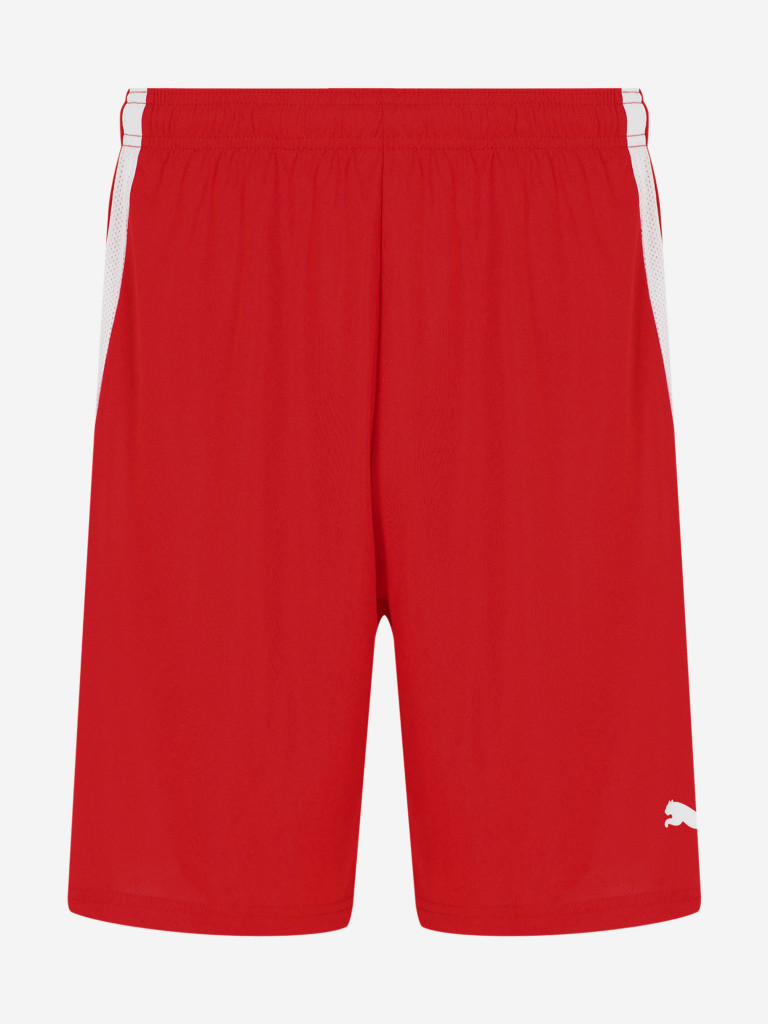 Шорты мужские PUMA teamLIGA