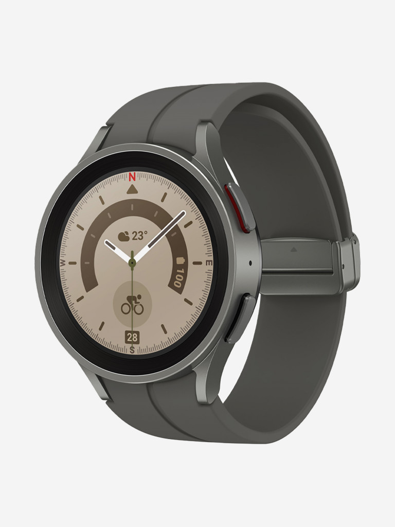 Смарт-часы Samsung Galaxy Watch5 Pro серый титан