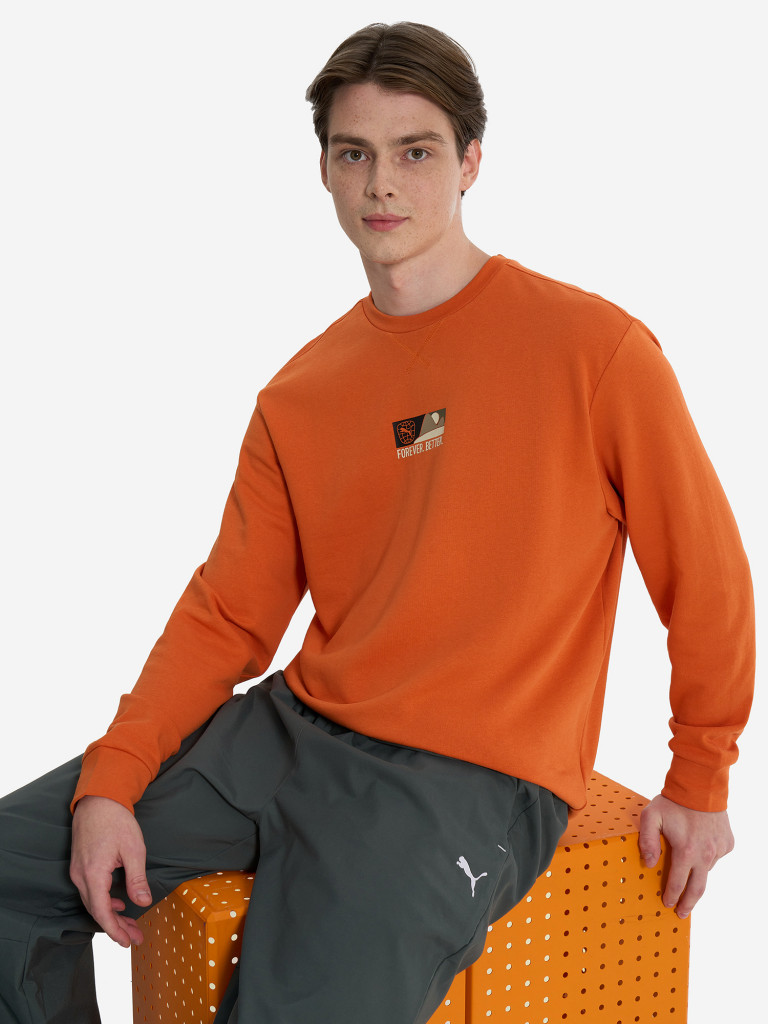 Свитшот мужской PUMA