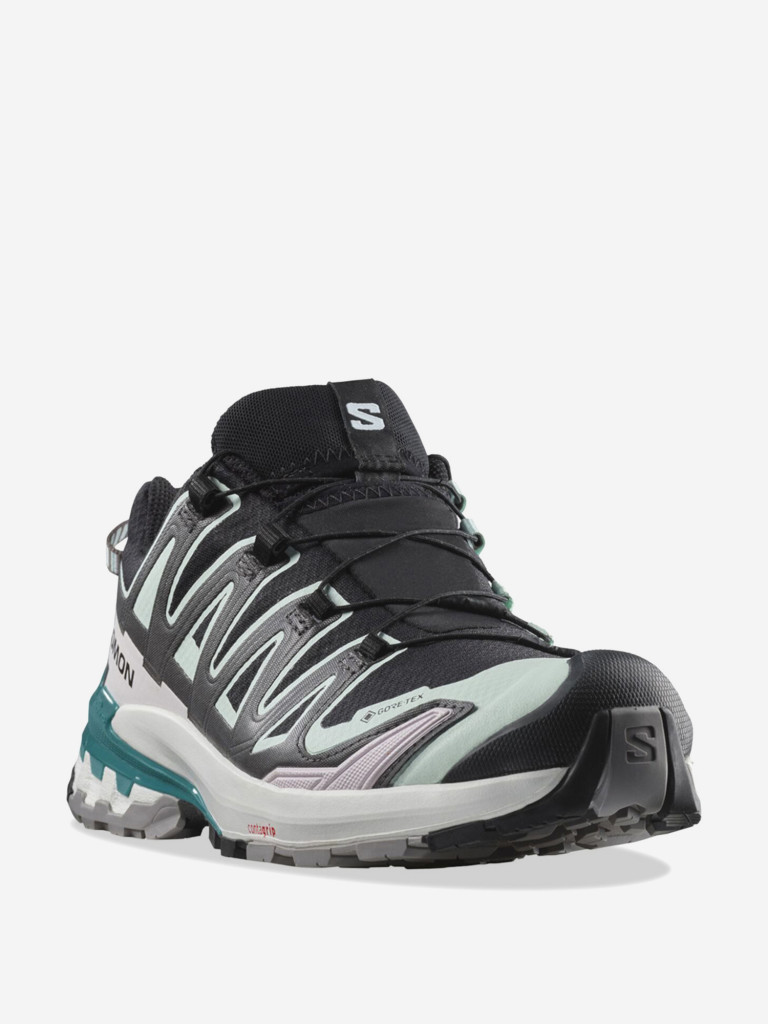 Кроссовки Salomon XA PRO 3D V9 GTX W
