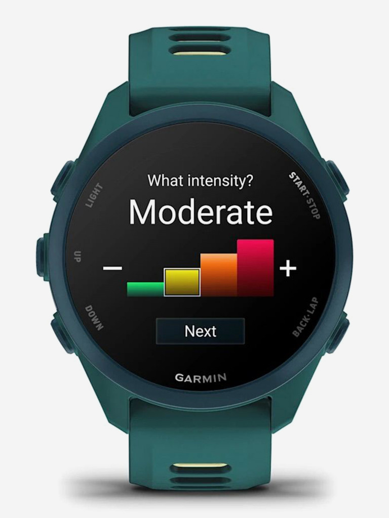 Спортивные часы GARMIN Forerunner 170 Music