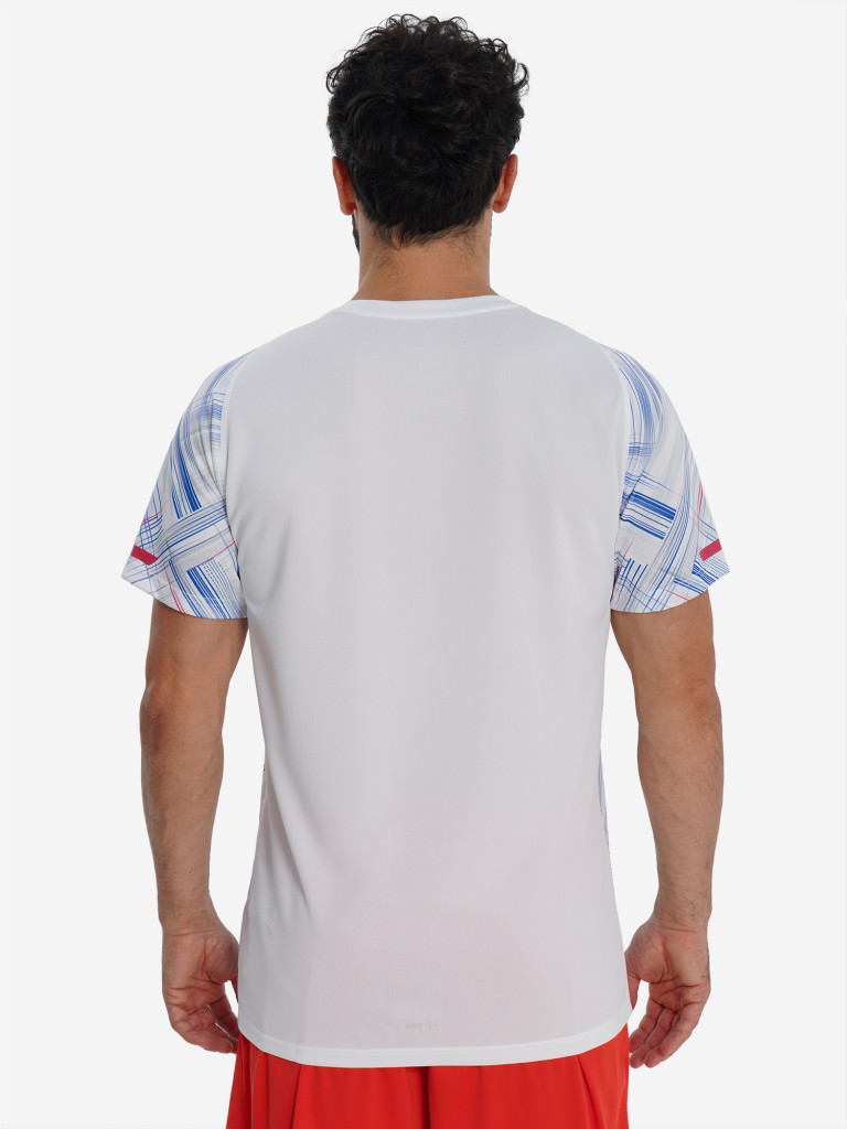 Футболка мужская Demix Playmaker