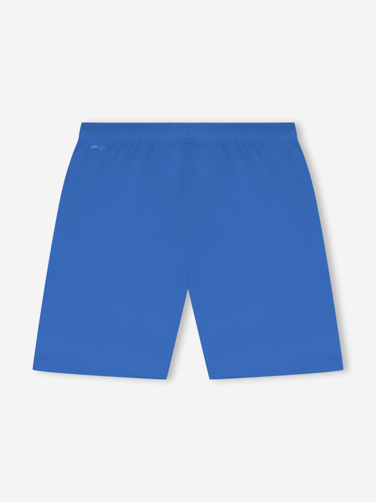 Шорты мужские PUMA Teamrise