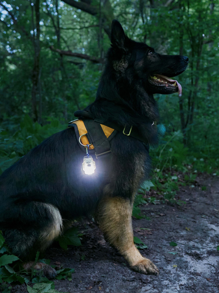 Фонарь налобный Armytek Crystal Pro IR с инфракрасным светом, 200 лм