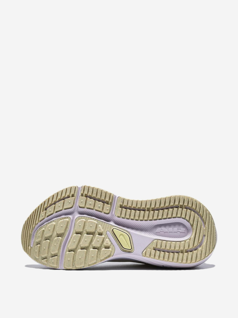 Кроссовки женские Nike Winflo 12