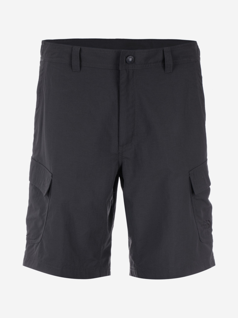 The north face horizon 2024 cargo shorts