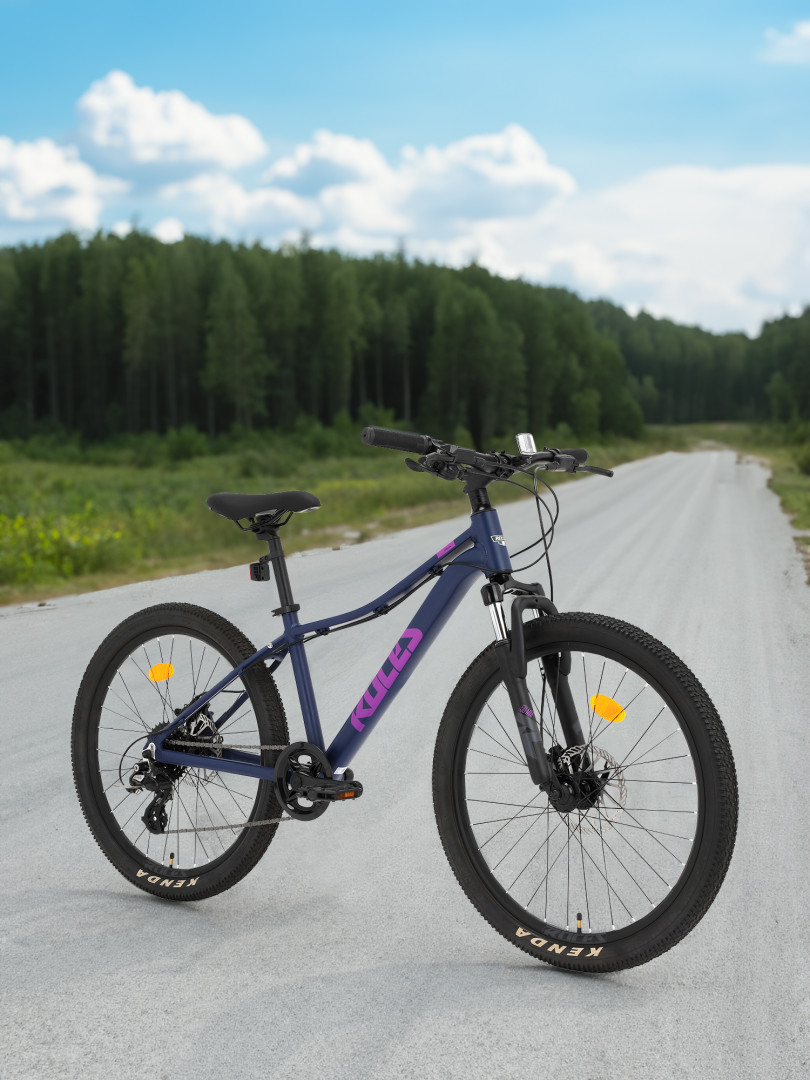 Велосипед для девочек Roces Stella 24 Фиолетовый 35999₽