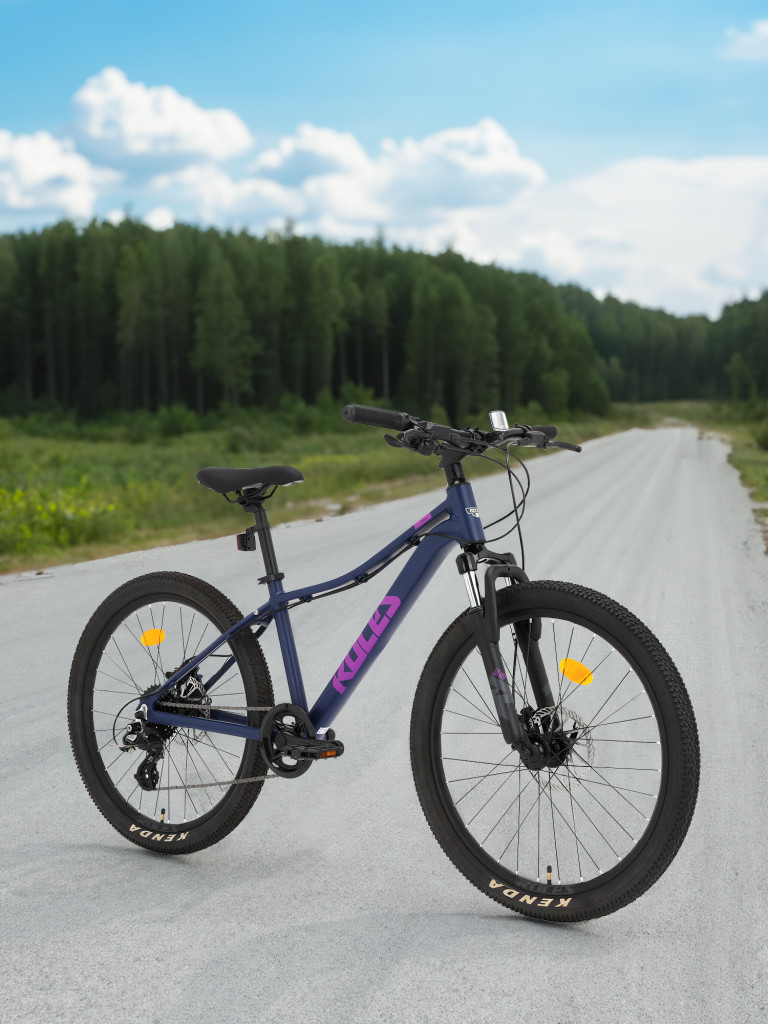 Велосипед для девочек Roces Stella 24"