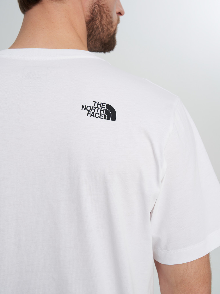 Футболка мужская The North Face Evolution