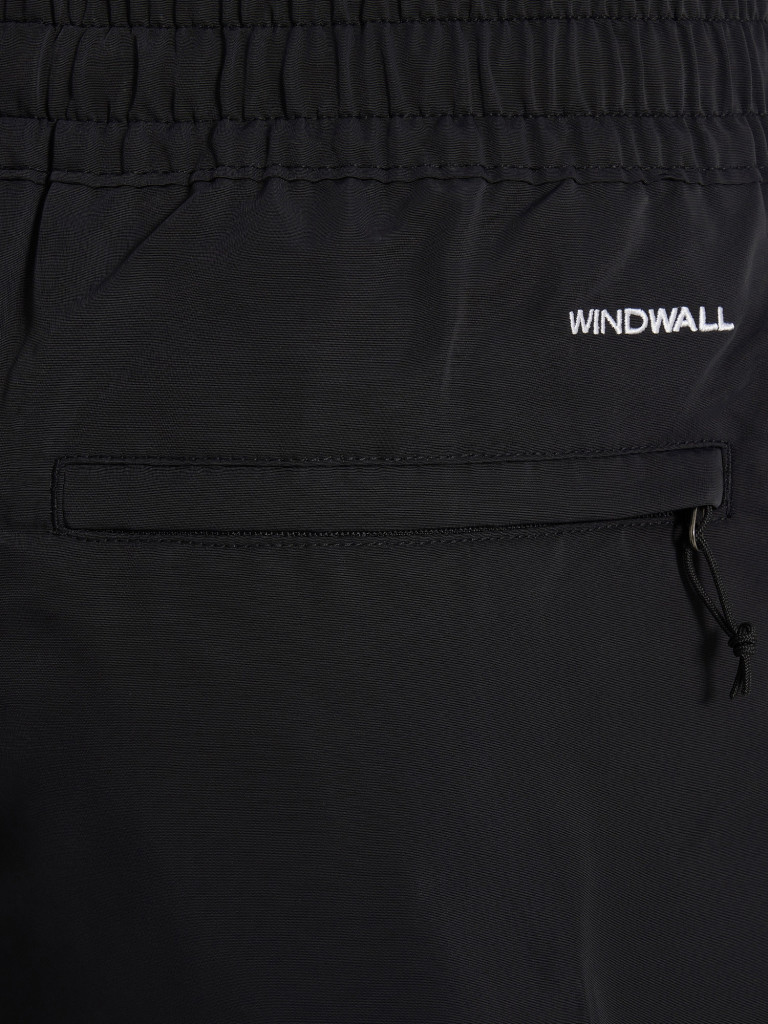 Брюки мужские The North Face Easy Wind