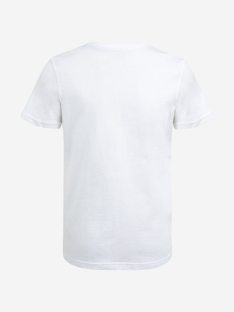 Футболка для мальчиков Quiksilver Funky Sensation