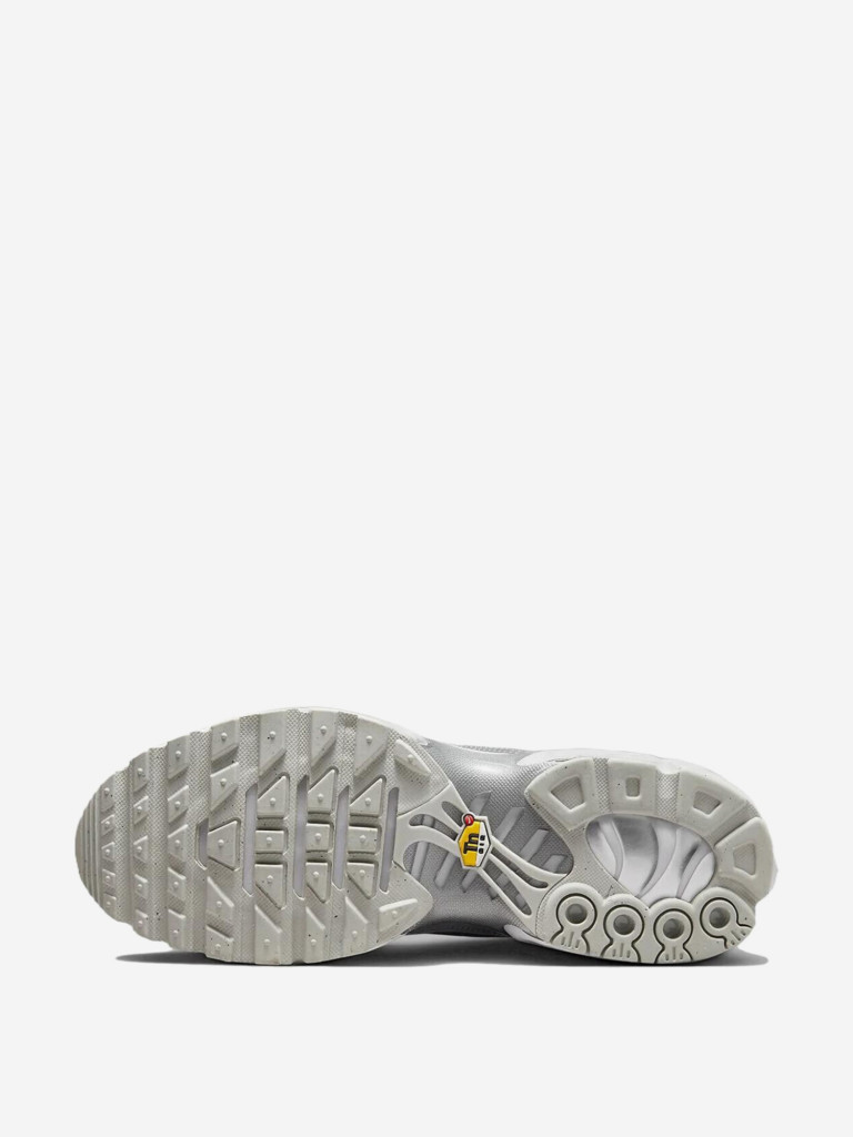 Кроссовки Nike Air Max Plus