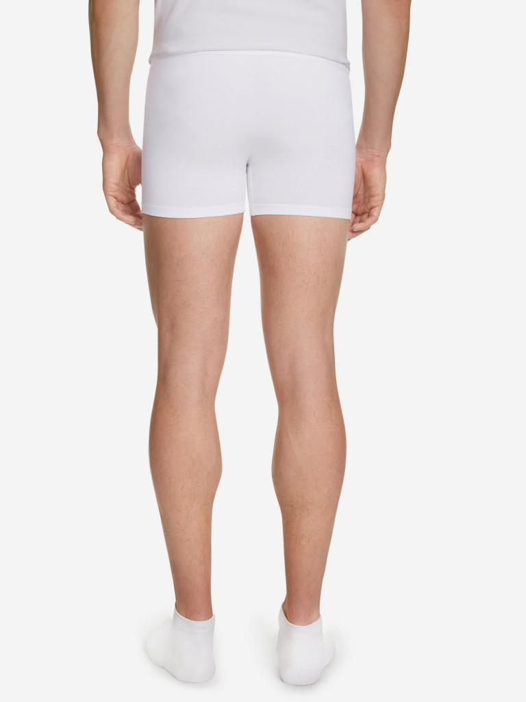 Мужские трусы FALKE