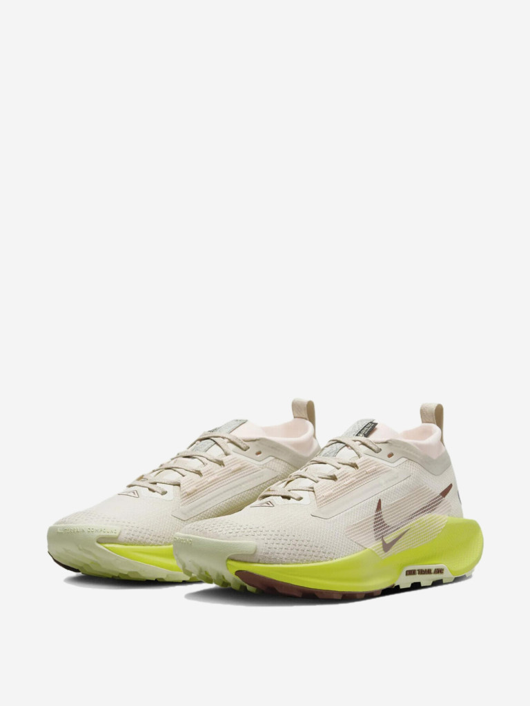 Кроссовки Nike Pegasus Trail 5