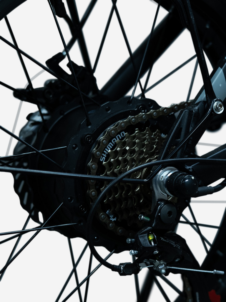 Электровелосипед EasyRider A-Type