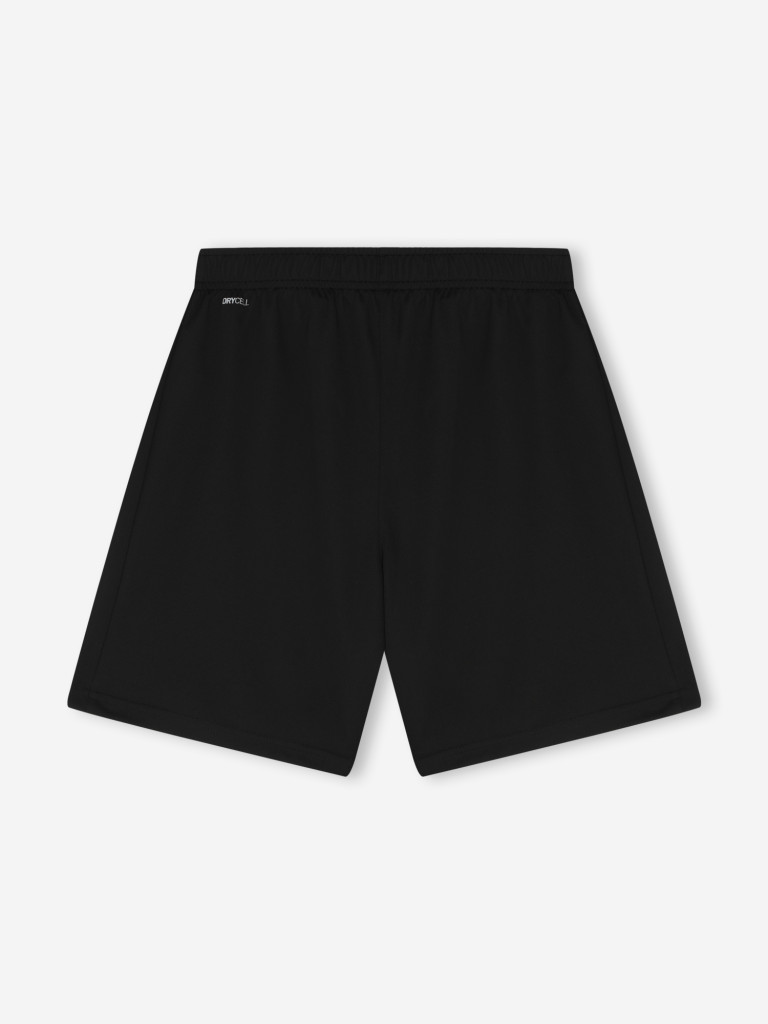 Шорты для мальчиков PUMA teamRISE