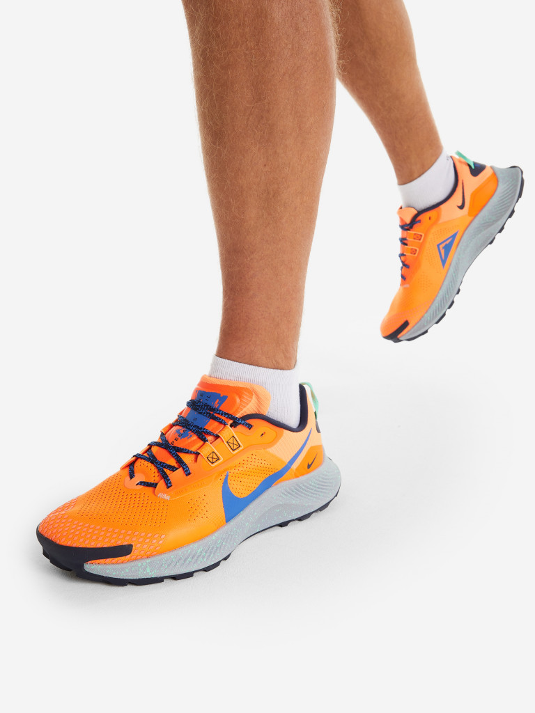 Кроссовки мужские Nike Pegasus Trail 3