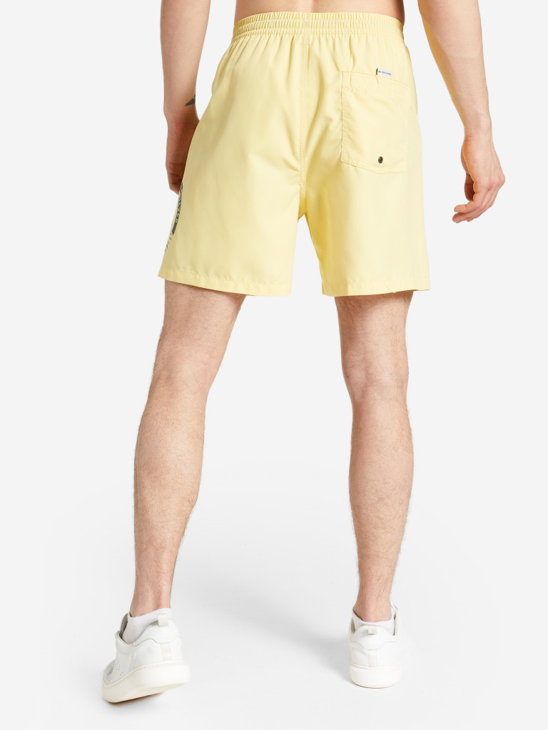 Шорты мужские Quiksilver