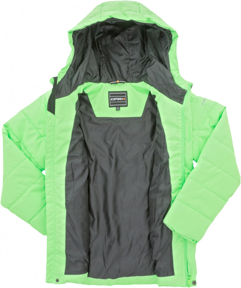 Пуховик для мальчиков IcePeak Rasi