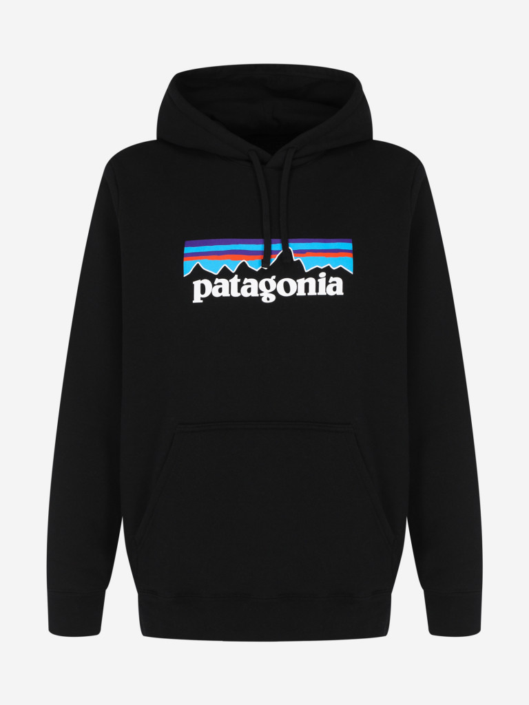 Худи мужское Patagonia Logo Uprisal