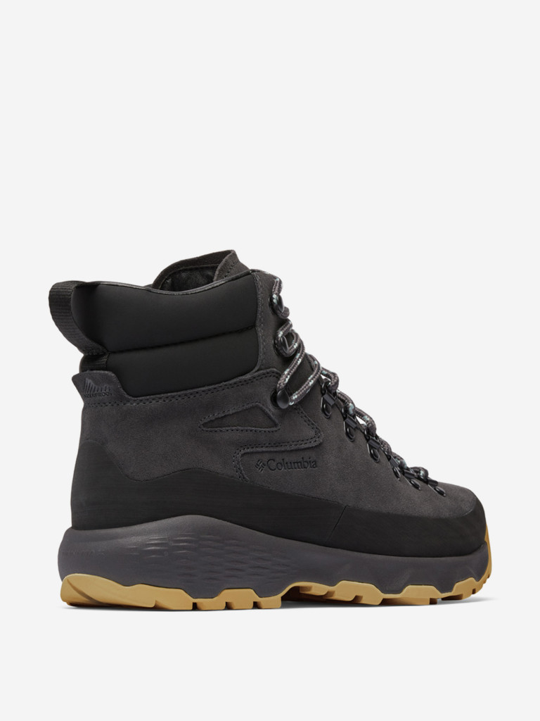 Ботинки мужские Columbia Newton Alpine Pt