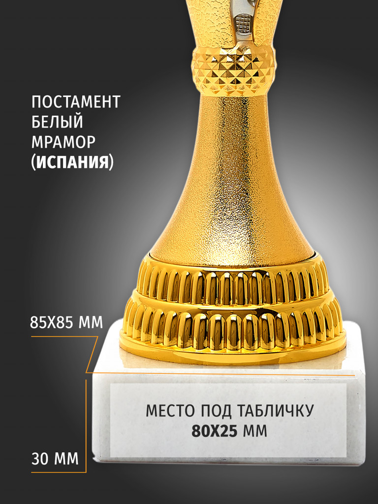 Кубок спортивный для награждения победителей 31 см