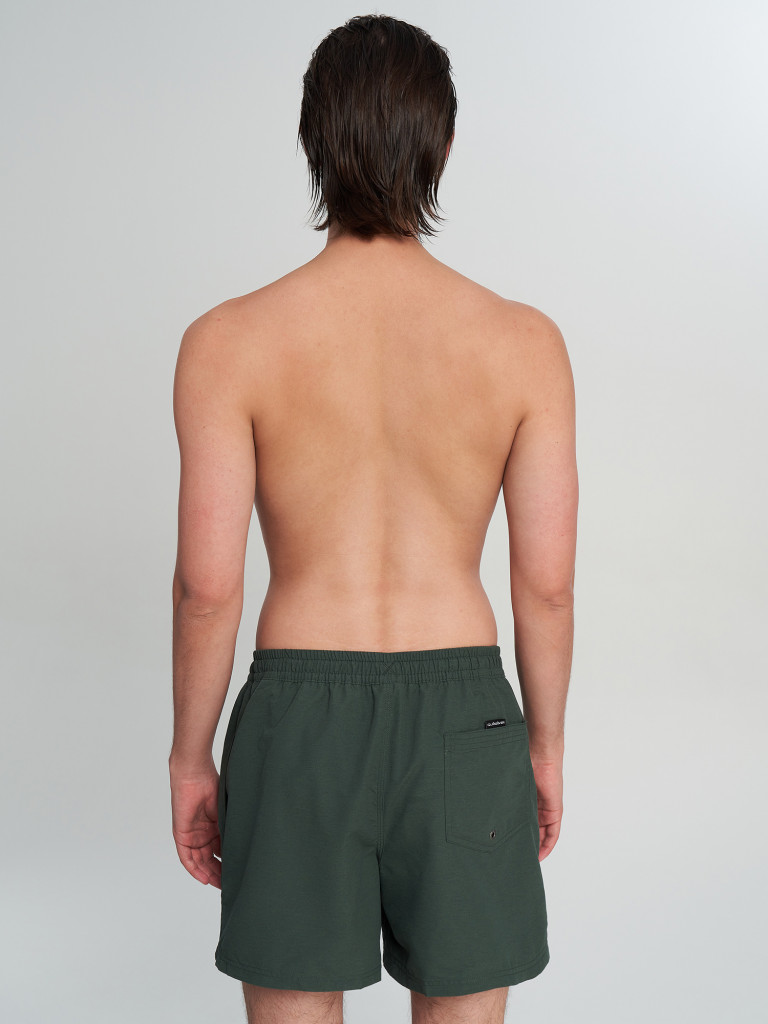 Шорты плавательные мужские Quiksilver Everyday Volley 15