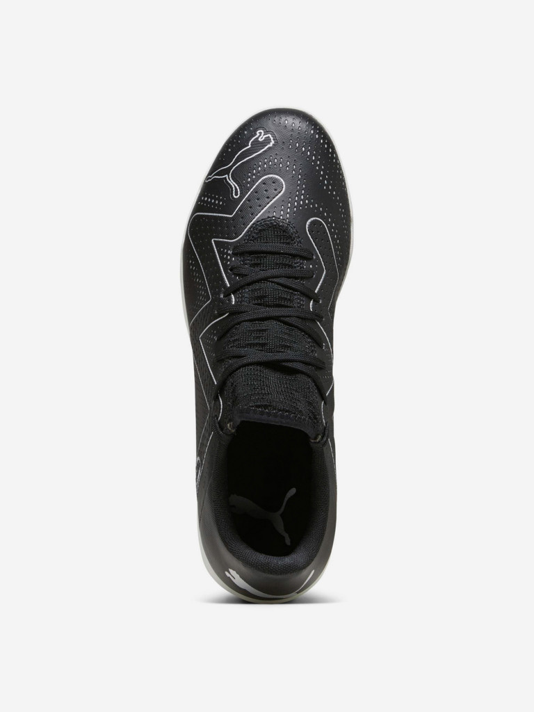 Бутсы мужские PUMA Future Play TT