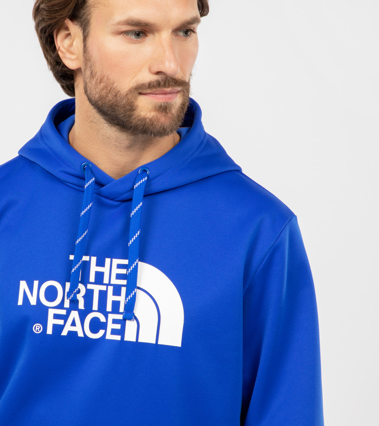 Худи мужское The North Face Surgent