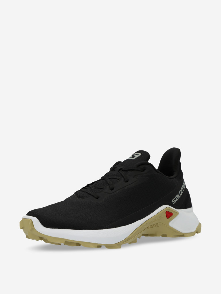 Кроссовки мужские Salomon Alphacross 3