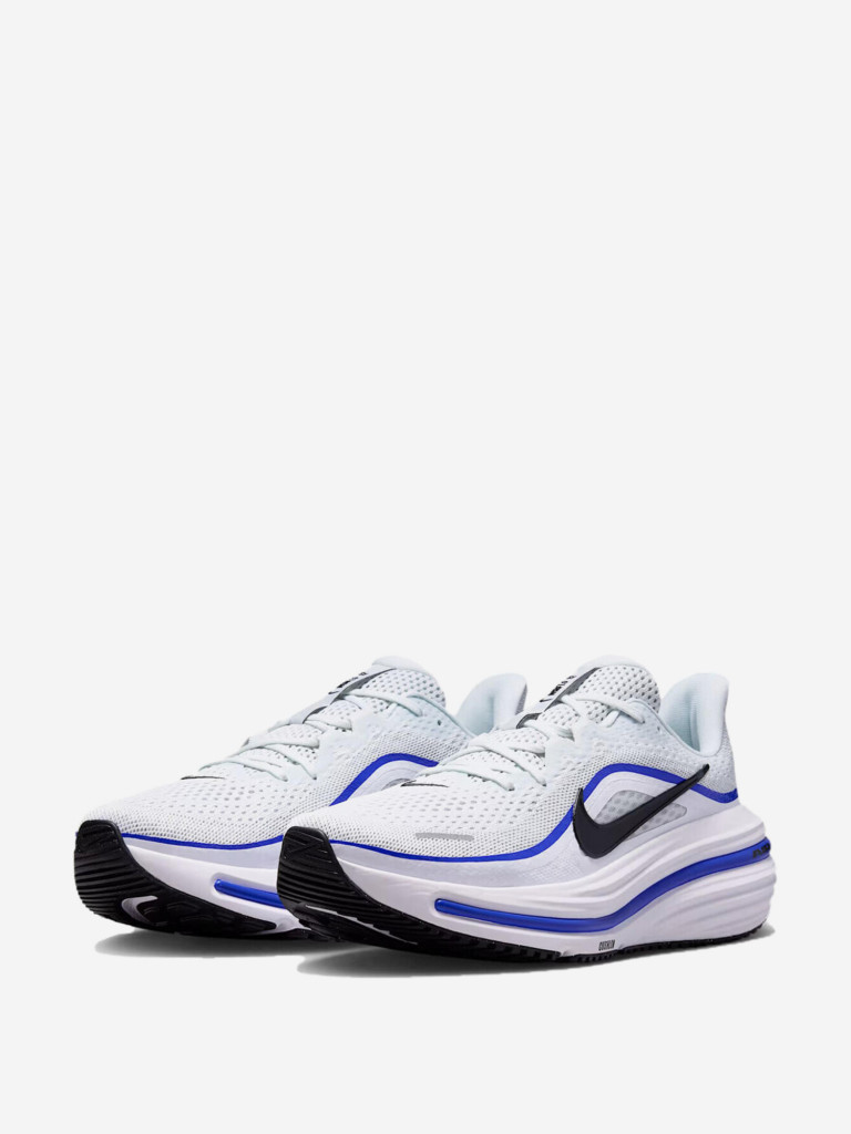 Кроссовки мужские Nike Winflo 12
