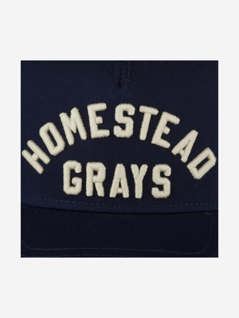 Бейсболка AMERICAN NEEDLE 22016A-HOG Homestead Grays Valin NL (синий)