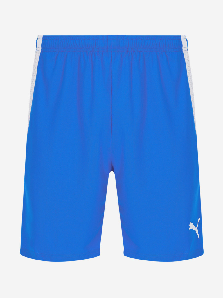 Шорты мужские PUMA teamLIGA
