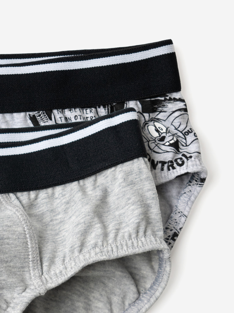 Трусы для мальчиков - брифы, 2 шт PlayToday