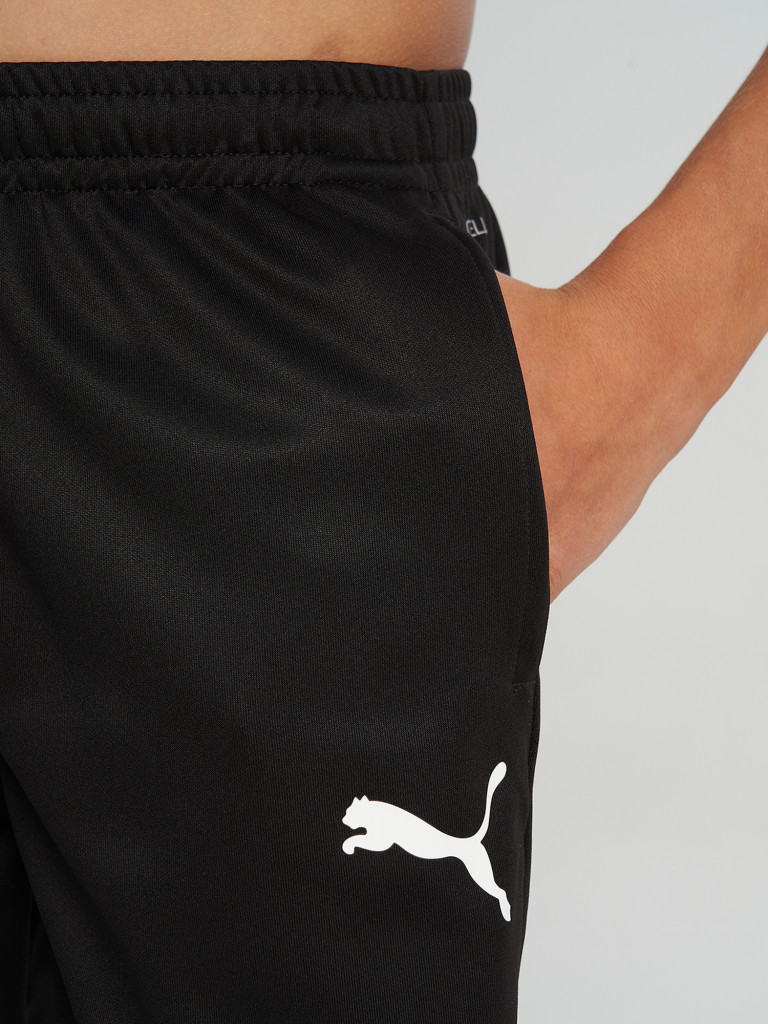 Брюки для мальчиков PUMA Teamgoal