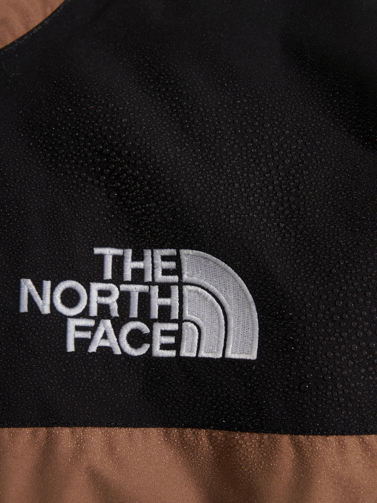 Куртка мембранная мужская The North Face Reign On