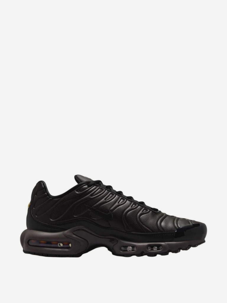 Кроссовки Nike Air Max Plus Premium Paris