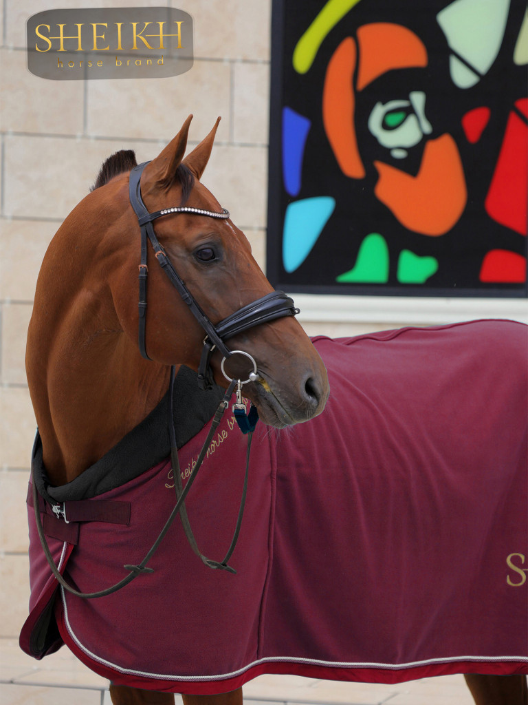 Попона флисовая для лошади, коллекция ОРИЕНТАЛ