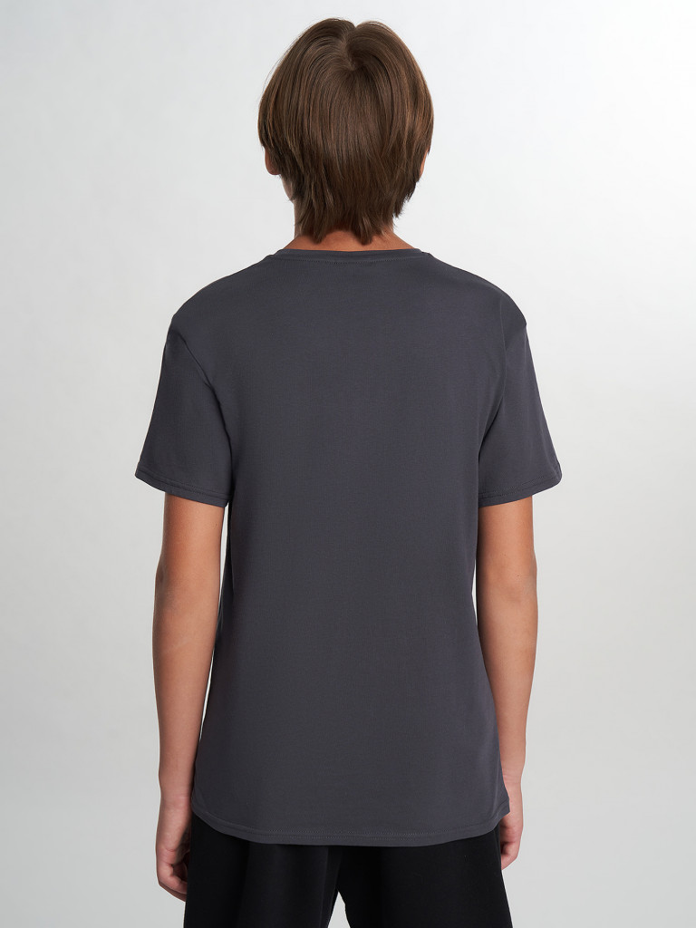 Футболка для мальчиков Termit