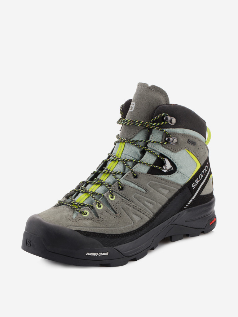 Ботинки мужские Salomon X Alp Mid