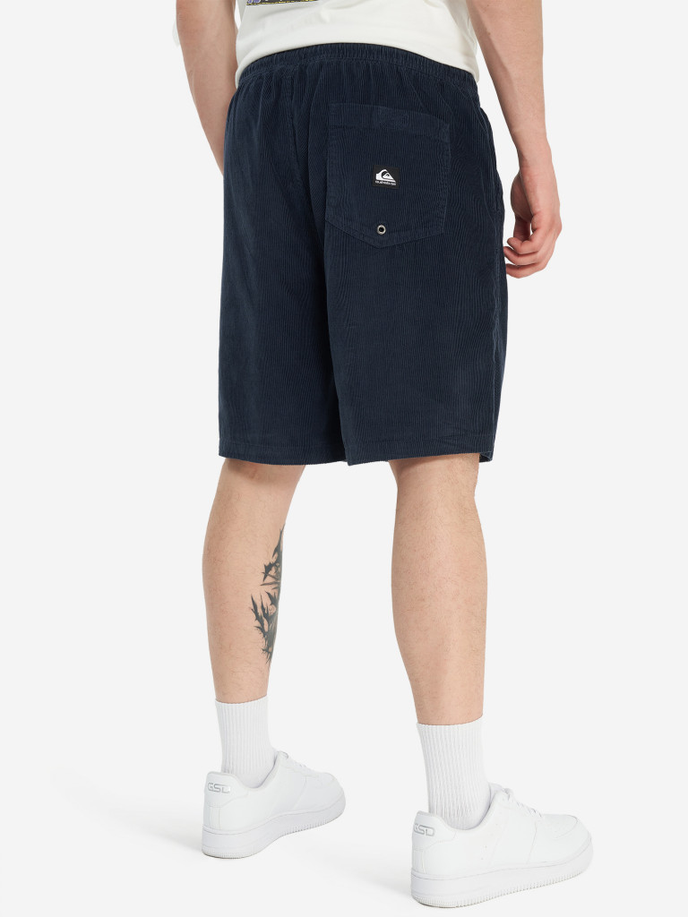 Шорты мужские Quiksilver Taxer Cord