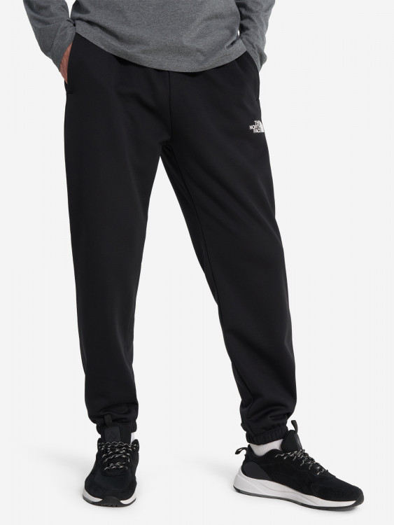Брюки мужские The North Face Reaxion 2.0