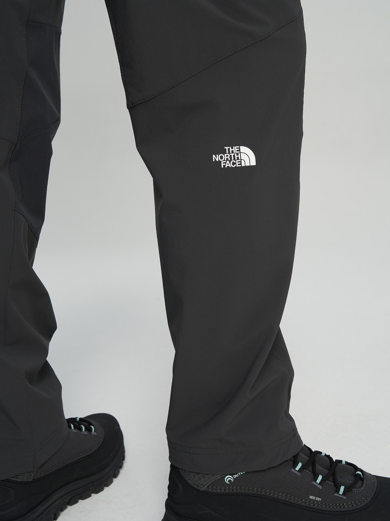 Брюки женские The North Face Speedlight Regular