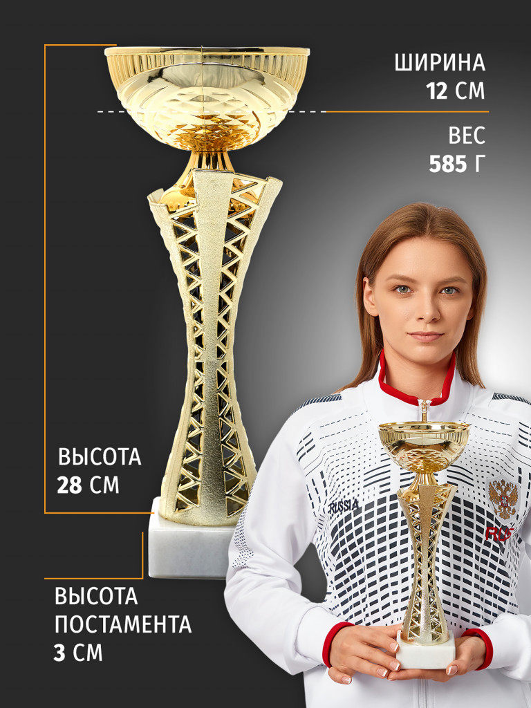 Кубок спортивный для награждения победителей 31 см