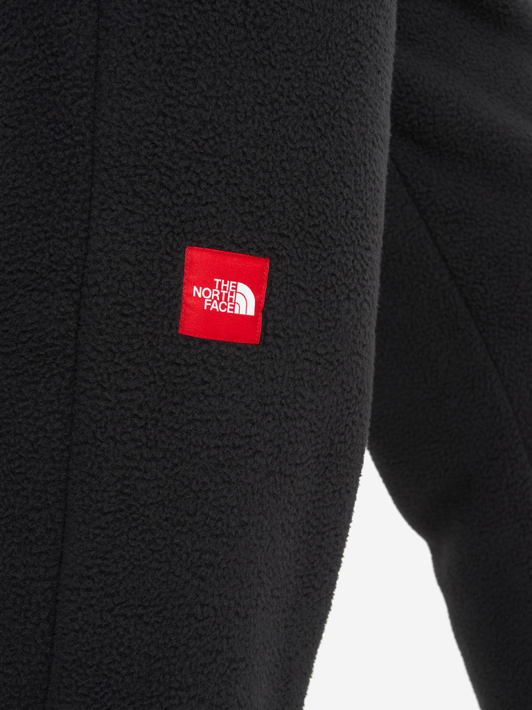 Брюки флисовые мужские The North Face Fleeski
