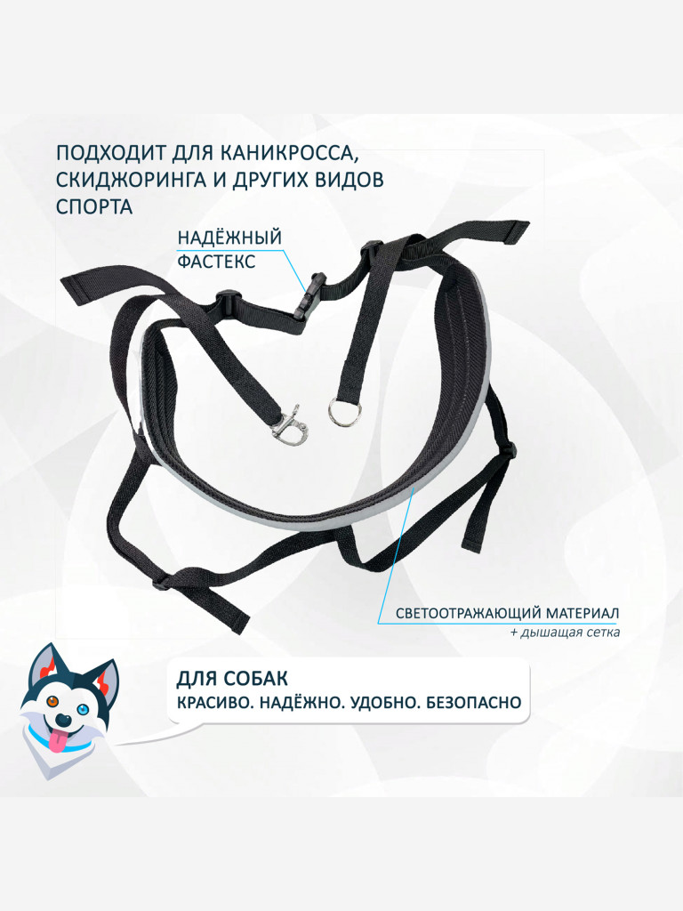 Светоотражающий пояс totemica для каникросса (бег с собакой) и скиджоринга (езда на лыжах за собакой)